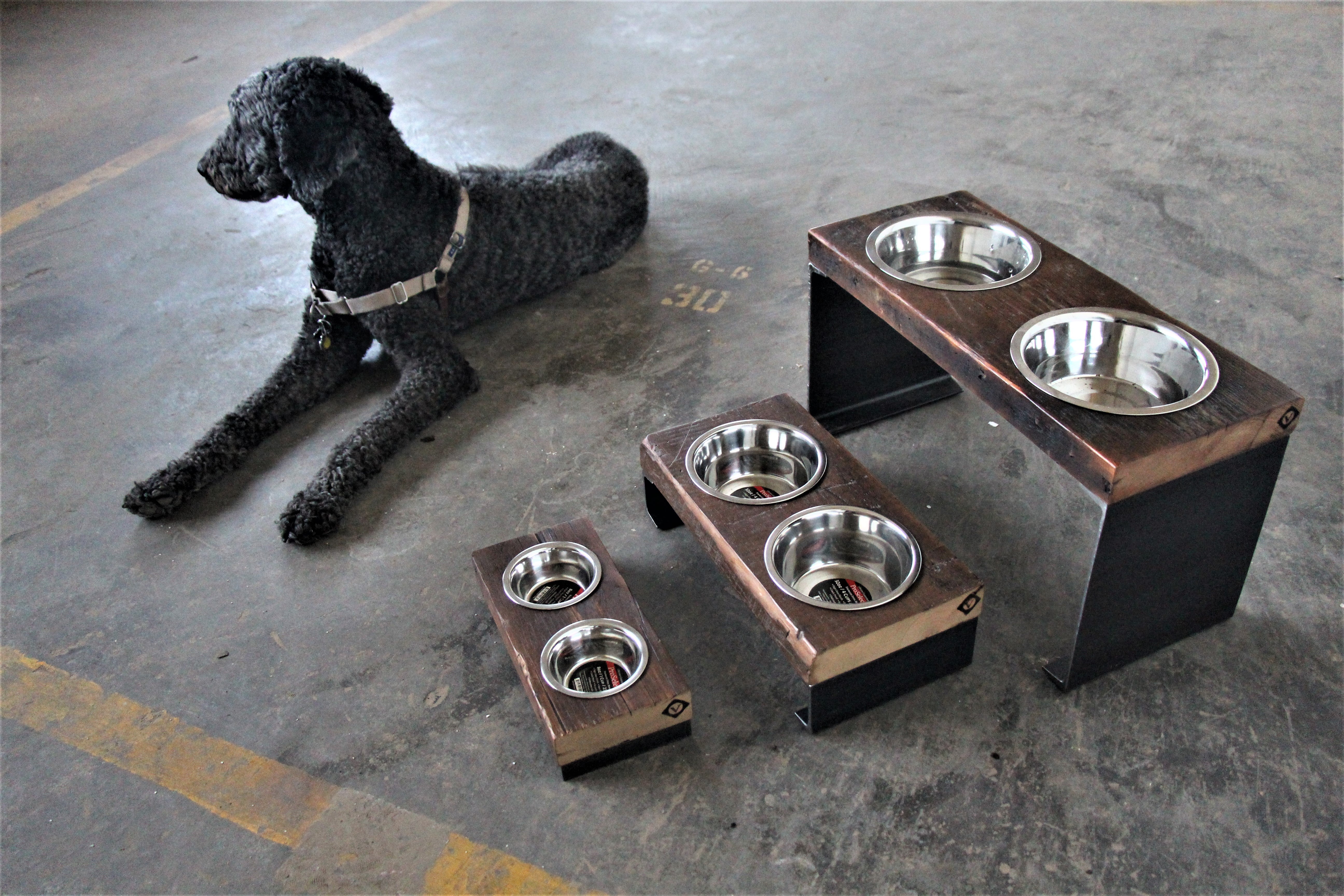Elevated Dog Bowl : Large Breed – Vault Furniture