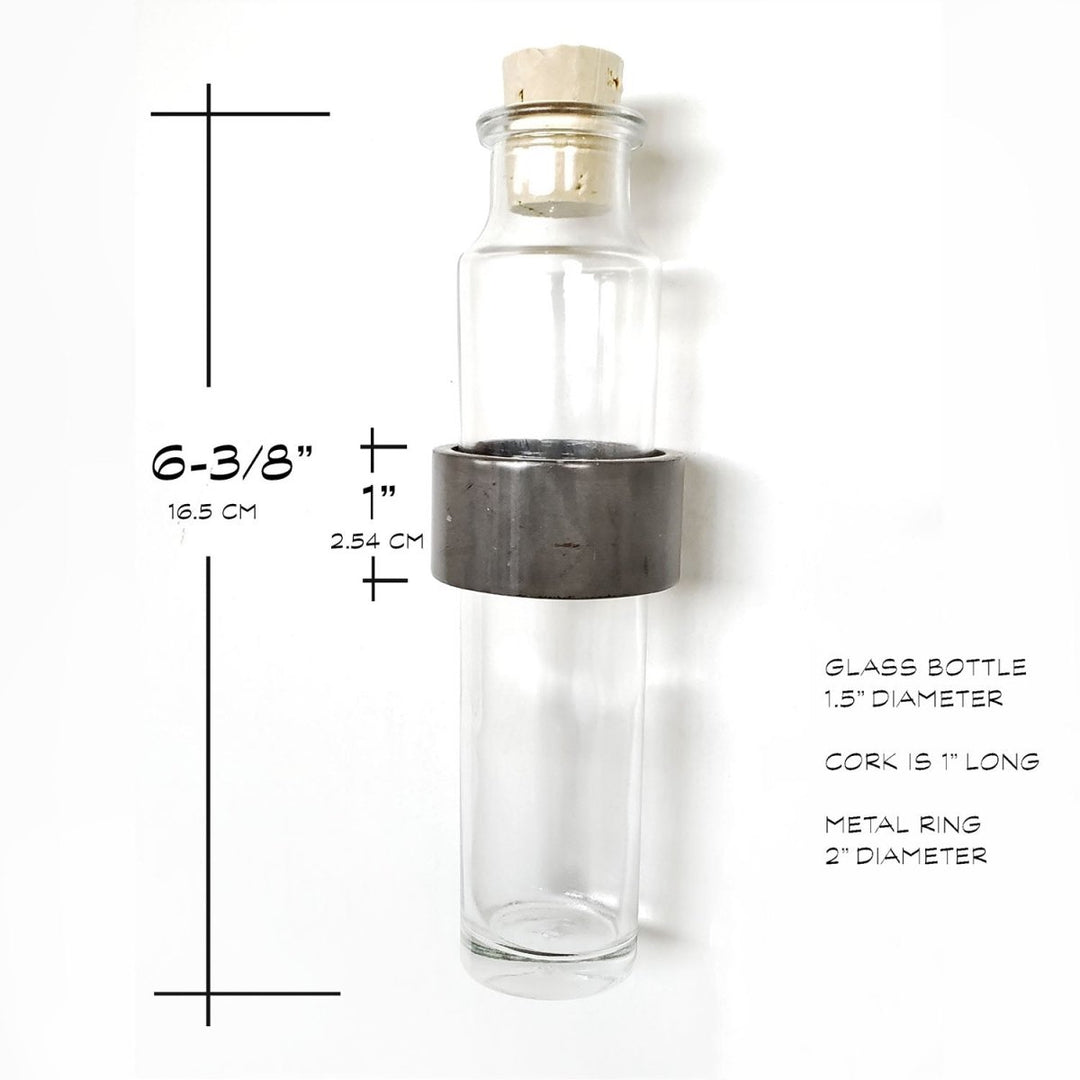 wall hanging vase handcrafted in USA. minimal aesthetic wall decor. Metal ring with glass bottle and cork.