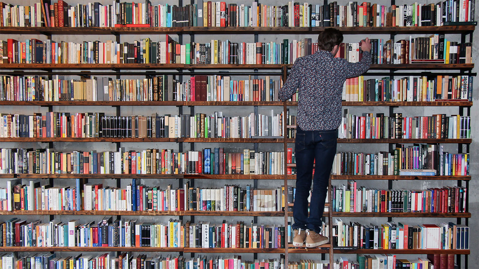 custom barnwood bookshelves with ladder. large home library with tall wall-mounted shelving unit. heavy duty steel shelf brackets with reclaimed barn wood shelving. 18ft long shelving unit full of books on cement wall. Man on ladder in floral shirt grabs for book. American made shelves by Vault Furniture