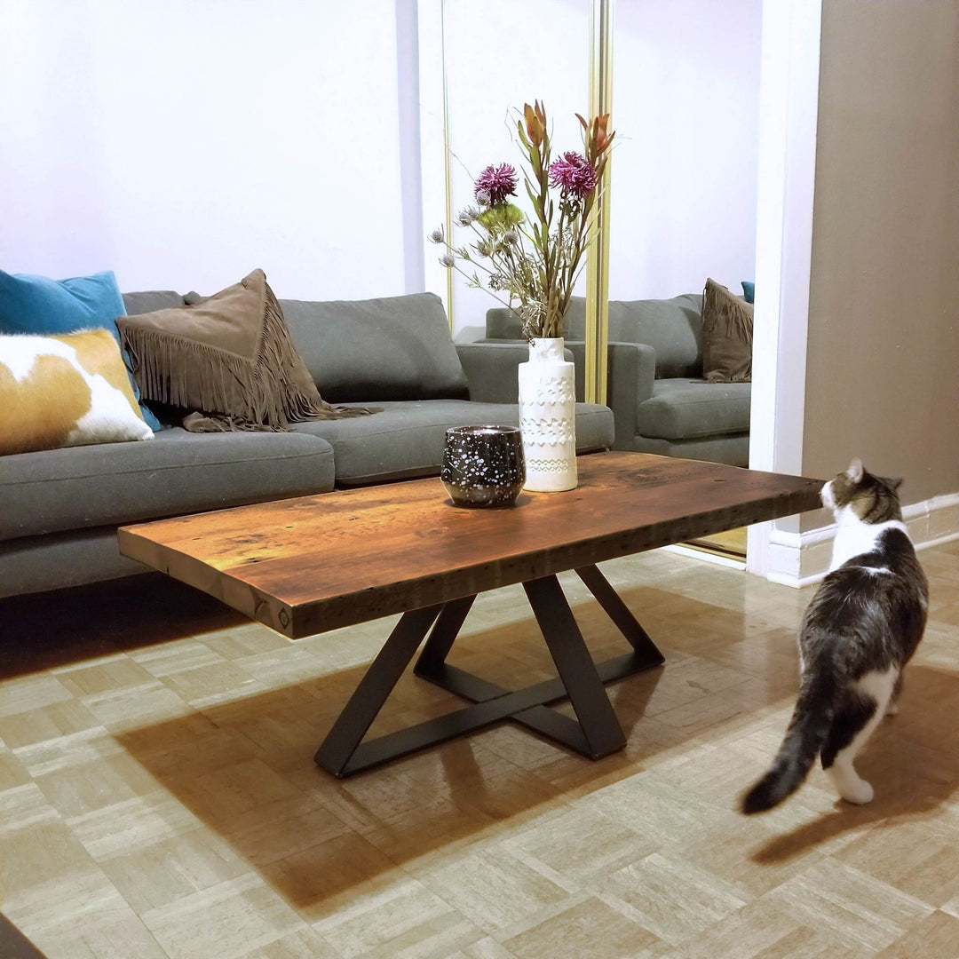 solid wood coffee table with steel base. reclaimed wood table with cat in living room. 