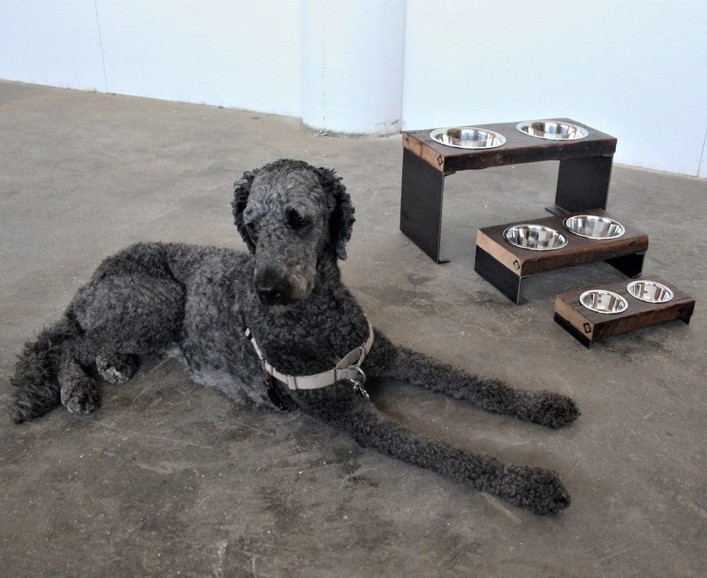 luxury home decor elevated pet feeders wood and steel with dog laying next to them.