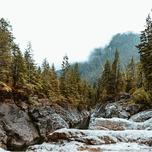 pacific northwest mountain with pine trees on a river. custom furniture builders. vault furniture Idaho