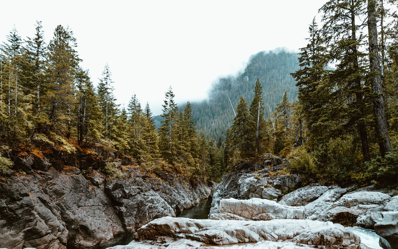 pacific northwest mountain with pine trees on a river. custom furniture builders. vault furniture Idaho