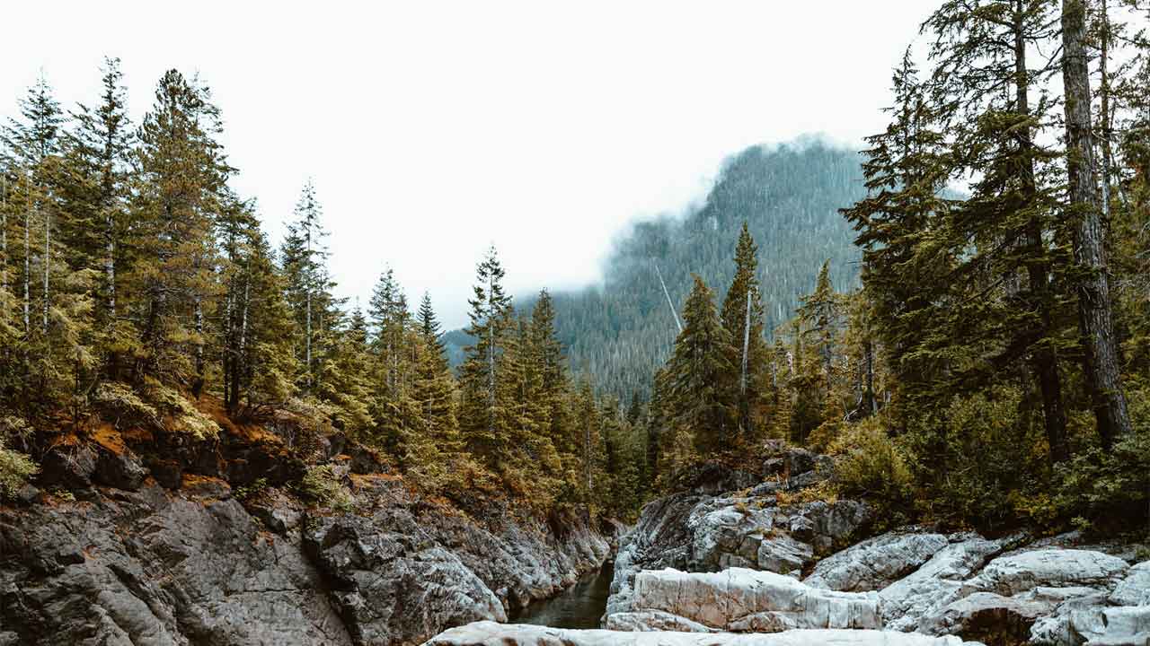 Forested mountain landscape with a stream flowing through rocky terrain vault furniture