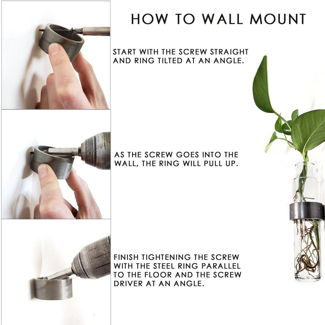 Wall mount vase hanging instructions. metal ring screws into wall. Propagation vase with rooting ivy on right side.