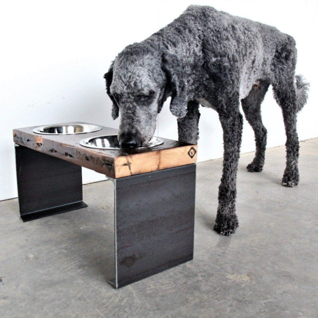 Luxury tall dog bowl for modern home
